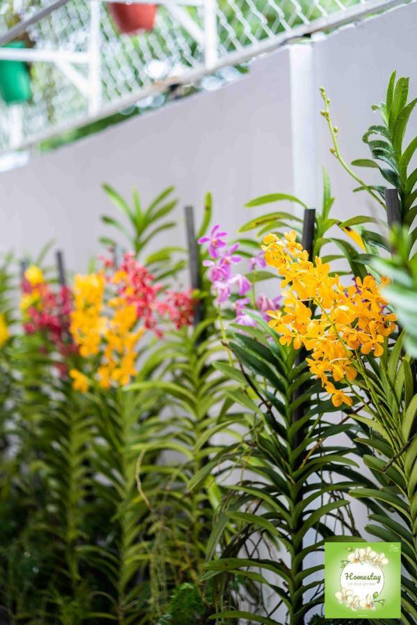 Can Tho Orchid Garden Homestay Luaran gambar