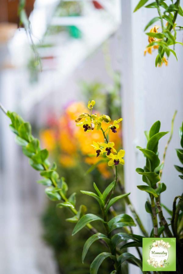 Can Tho Orchid Garden Homestay Luaran gambar